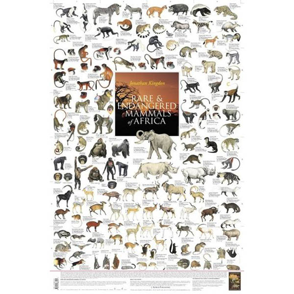 Poster \"Rare and Endangered Mammals of Africa\"